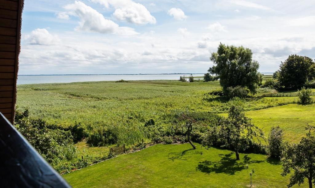 Ferienwohnung Haus am Bodden 03 Ahrenshoop Exterior foto